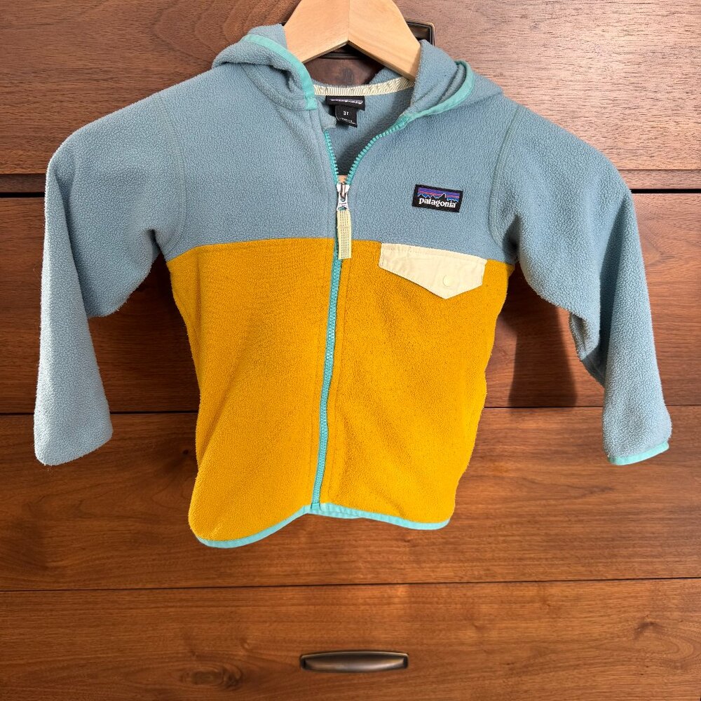 3T Patagonia Micro-D Snap T Fleece